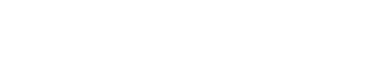 Dataviue Logo